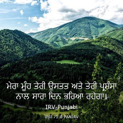Picture 03 - ਜ਼ਬੂਰ 71:8 PANIRV - ਮੇਰਾ ਮੂੰਹ ਤੇਰੀ - Bible Verse Picture