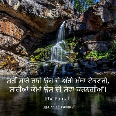 Picture 03 - ਜ਼ਬੂਰ 72:11 PANIRV - ਸਗੋਂ ਸਾਰੇ ਰਾਜੇ ਉਹ - Bible Verse Picture