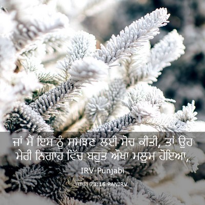 Picture 03 - ਜ਼ਬੂਰ 73:16 PANIRV - ਜਾਂ ਮੈਂ ਇਸ ਨੂੰ ਸਮਝਣ - Bible Verse Picture