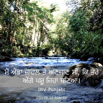 Picture 03 - ਜ਼ਬੂਰ 73:22 PANIRV - ਮੈਂ ਐਡਾ ਜਾਹਲ ਤੇ - Bible Verse Picture