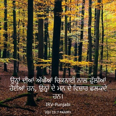 Picture 03 - ਜ਼ਬੂਰ 73:7 PANIRV - ਉਨ੍ਹਾਂ ਦੀਆਂ - Bible Verse Picture