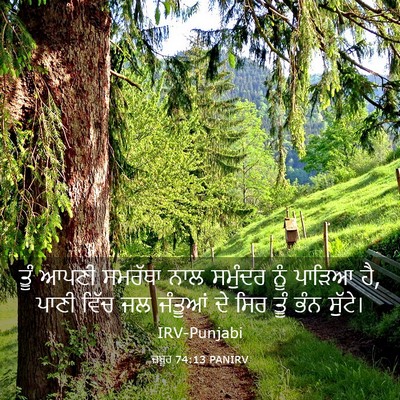 Picture 03 - ਜ਼ਬੂਰ 74:13 PANIRV - ਤੂੰ ਆਪਣੀ ਸਮਰੱਥਾ - Bible Verse Picture