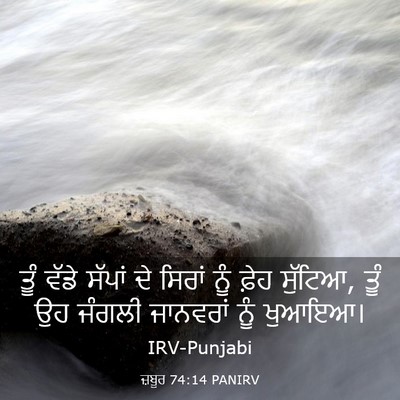 Picture 03 - ਜ਼ਬੂਰ 74:14 PANIRV - ਤੂੰ ਵੱਡੇ ਸੱਪਾਂ ਦੇ - Bible Verse Picture