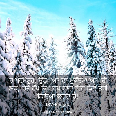 Picture 03 - ਜ਼ਬੂਰ 74:22 PANIRV - ਹੇ ਪਰਮੇਸ਼ੁਰ, ਉੱਠ, - Bible Verse Picture