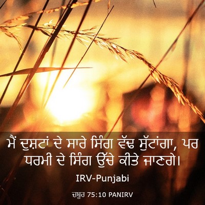 Picture 03 - ਜ਼ਬੂਰ 75:10 PANIRV - ਮੈਂ ਦੁਸ਼ਟਾਂ ਦੇ - Bible Verse Picture