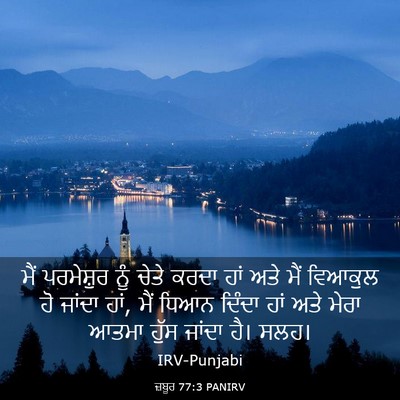 Picture 03 - ਜ਼ਬੂਰ 77:3 PANIRV - ਮੈਂ ਪਰਮੇਸ਼ੁਰ ਨੂੰ - Bible Verse Picture