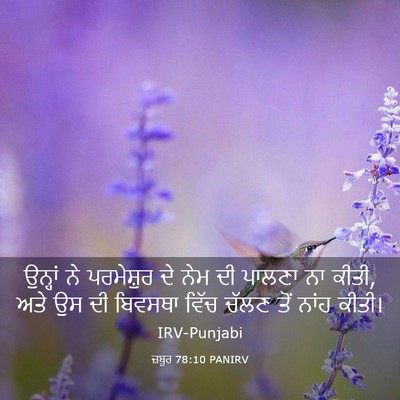 Picture 03 - ਜ਼ਬੂਰ 78:10 PANIRV - ਉਨ੍ਹਾਂ ਨੇ - Bible Verse Picture