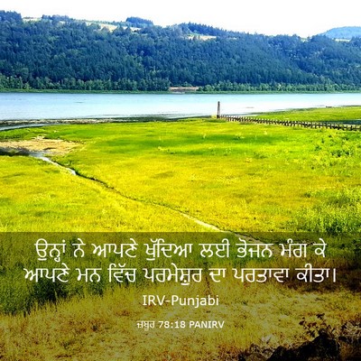 Picture 03 - ਜ਼ਬੂਰ 78:18 PANIRV - ਉਨ੍ਹਾਂ ਨੇ ਆਪਣੇ - Bible Verse Picture