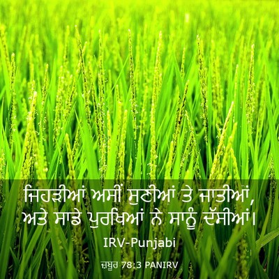 Picture 03 - ਜ਼ਬੂਰ 78:3 PANIRV - ਜਿਹੜੀਆਂ ਅਸੀਂ - Bible Verse Picture