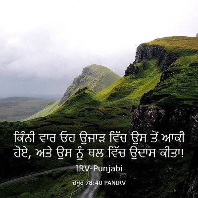Picture 03 - ਜ਼ਬੂਰ 78:40 PANIRV - ਕਿੰਨੀ ਵਾਰ ਓਹ ਉਜਾੜ - Bible Verse Picture