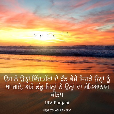 Picture 03 - ਜ਼ਬੂਰ 78:45 PANIRV - ਉਸ ਨੇ ਉਨ੍ਹਾਂ ਵਿੱਚ - Bible Verse Picture