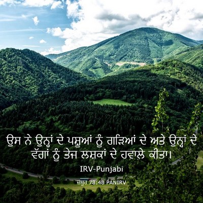 Picture 03 - ਜ਼ਬੂਰ 78:48 PANIRV - ਉਸ ਨੇ ਉਨ੍ਹਾਂ ਦੇ - Bible Verse Picture