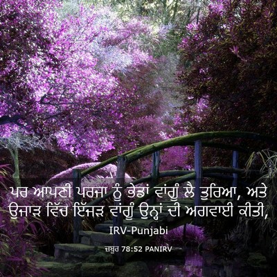 Picture 03 - ਜ਼ਬੂਰ 78:52 PANIRV - ਪਰ ਆਪਣੀ ਪਰਜਾ ਨੂੰ - Bible Verse Picture