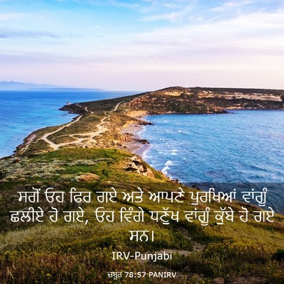 Picture 03 - ਜ਼ਬੂਰ 78:57 PANIRV - ਸਗੋਂ ਓਹ ਫਿਰ ਗਏ ਅਤੇ - Bible Verse Picture