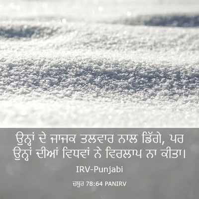Picture 03 - ਜ਼ਬੂਰ 78:64 PANIRV - ਉਨ੍ਹਾਂ ਦੇ ਜਾਜਕ - Bible Verse Picture