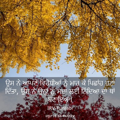 Picture 03 - ਜ਼ਬੂਰ 78:66 PANIRV - ਉਸ ਨੇ ਆਪਣੇ - Bible Verse Picture