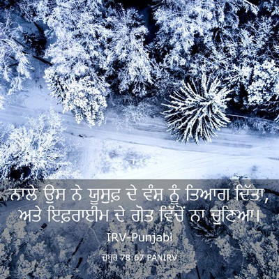 Picture 03 - ਜ਼ਬੂਰ 78:67 PANIRV - ਨਾਲੇ ਉਸ ਨੇ ਯੂਸੁਫ਼ - Bible Verse Picture