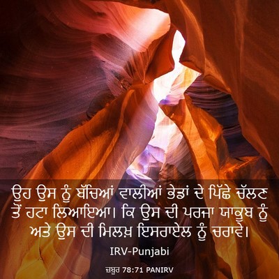 Picture 03 - ਜ਼ਬੂਰ 78:71 PANIRV - ਉਹ ਉਸ ਨੂੰ ਬੱਚਿਆਂ - Bible Verse Picture