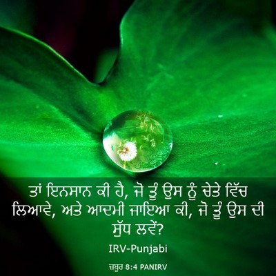 Picture 03 - ਜ਼ਬੂਰ 8:4 PANIRV - ਤਾਂ ਇਨਸਾਨ ਕੀ ਹੈ, ਜੋ - Bible Verse Picture