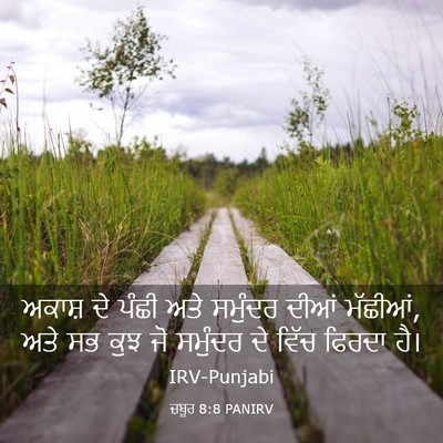 Picture 03 - ਜ਼ਬੂਰ 8:8 PANIRV - ਅਕਾਸ਼ ਦੇ ਪੰਛੀ ਅਤੇ - Bible Verse Picture