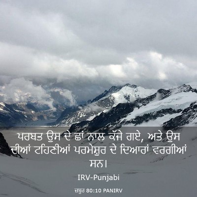 Picture 03 - ਜ਼ਬੂਰ 80:10 PANIRV - ਪਰਬਤ ਉਸ ਦੇ ਛਾਂ ਨਾਲ - Bible Verse Picture