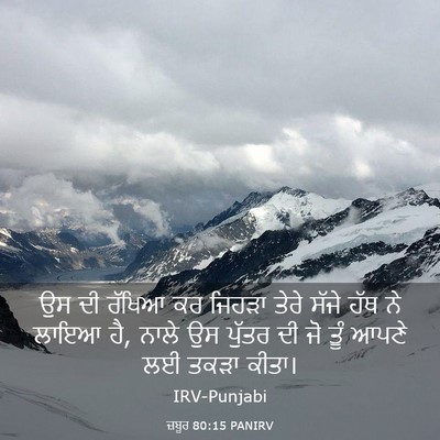 Picture 03 - ਜ਼ਬੂਰ 80:15 PANIRV - ਉਸ ਦੀ ਰੱਖਿਆ ਕਰ - Bible Verse Picture