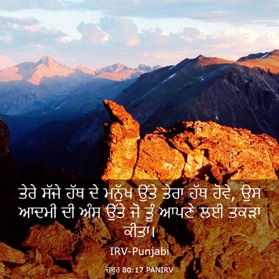 Picture 03 - ਜ਼ਬੂਰ 80:17 PANIRV - ਤੇਰੇ ਸੱਜੇ ਹੱਥ ਦੇ - Bible Verse Picture