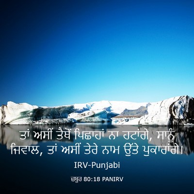 Picture 03 - ਜ਼ਬੂਰ 80:18 PANIRV - ਤਾਂ ਅਸੀਂ ਤੈਥੋਂ - Bible Verse Picture