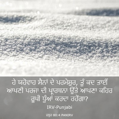 Picture 03 - ਜ਼ਬੂਰ 80:4 PANIRV - ਹੇ ਯਹੋਵਾਹ ਸੈਨਾਂ ਦੇ - Bible Verse Picture