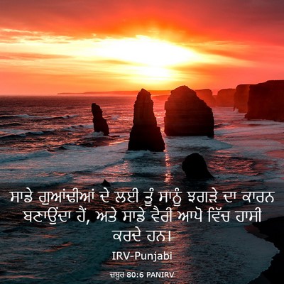 Picture 03 - ਜ਼ਬੂਰ 80:6 PANIRV - ਸਾਡੇ ਗੁਆਂਢੀਆਂ ਦੇ - Bible Verse Picture