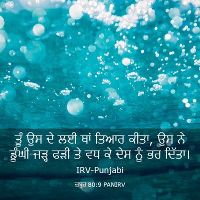 Picture 03 - ਜ਼ਬੂਰ 80:9 PANIRV - ਤੂੰ ਉਸ ਦੇ ਲਈ ਥਾਂ - Bible Verse Picture
