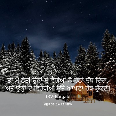 Picture 03 - ਜ਼ਬੂਰ 81:14 PANIRV - ਤਾਂ ਮੈਂ ਛੇਤੀ - Bible Verse Picture