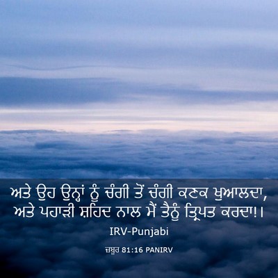 Picture 03 - ਜ਼ਬੂਰ 81:16 PANIRV - ਅਤੇ ਉਹ ਉਨ੍ਹਾਂ ਨੂੰ - Bible Verse Picture