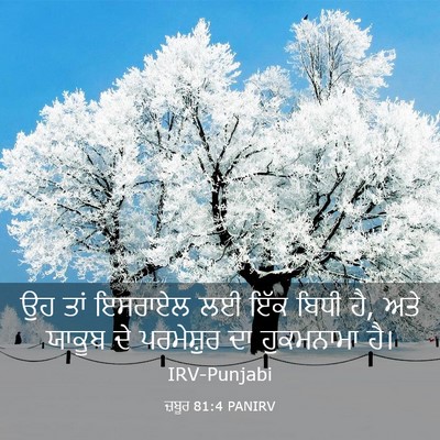 Picture 03 - ਜ਼ਬੂਰ 81:4 PANIRV - ਉਹ ਤਾਂ ਇਸਰਾਏਲ ਲਈ - Bible Verse Picture