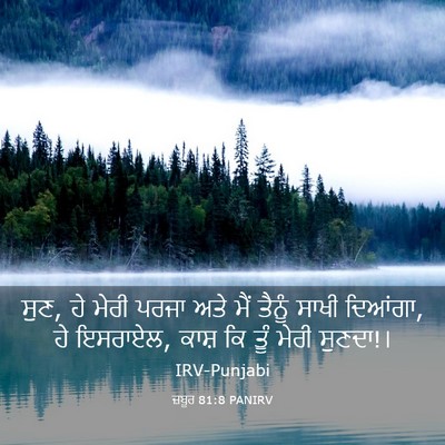 Picture 03 - ਜ਼ਬੂਰ 81:8 PANIRV - ਸੁਣ, ਹੇ ਮੇਰੀ ਪਰਜਾ - Bible Verse Picture