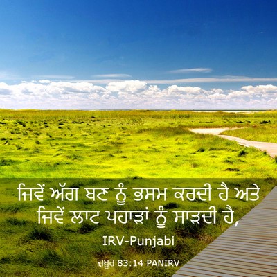 Picture 03 - ਜ਼ਬੂਰ 83:14 PANIRV - ਜਿਵੇਂ ਅੱਗ ਬਣ ਨੂੰ - Bible Verse Picture