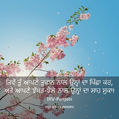 Picture 03 - ਜ਼ਬੂਰ 83:15 PANIRV - ਤਿਵੇਂ ਤੂੰ ਆਪਣੇ - Bible Verse Picture