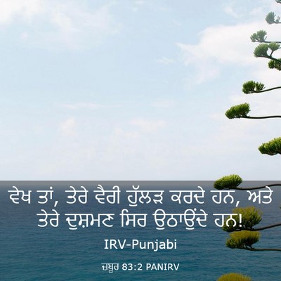 Picture 03 - ਜ਼ਬੂਰ 83:2 PANIRV - ਵੇਖ ਤਾਂ, ਤੇਰੇ ਵੈਰੀ - Bible Verse Picture