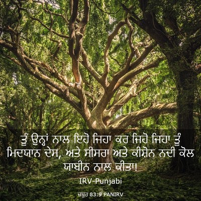 Picture 03 - ਜ਼ਬੂਰ 83:9 PANIRV - ਤੂੰ ਉਨ੍ਹਾਂ ਨਾਲ ਇਹੋ - Bible Verse Picture