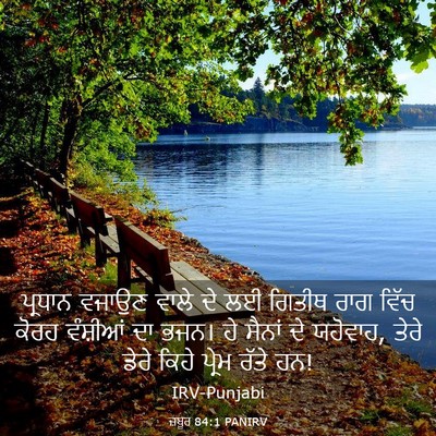 Picture 03 - ਜ਼ਬੂਰ 84:1 PANIRV - ਪ੍ਰਧਾਨ ਵਜਾਉਣ ਵਾਲੇ - Bible Verse Picture