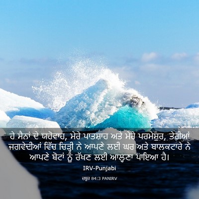 Picture 03 - ਜ਼ਬੂਰ 84:3 PANIRV - ਹੇ ਸੈਨਾਂ ਦੇ ਯਹੋਵਾਹ, - Bible Verse Picture