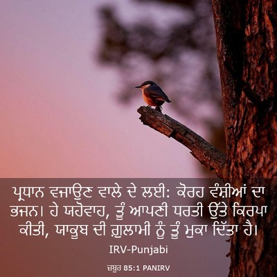 Picture 03 - ਜ਼ਬੂਰ 85:1 PANIRV - ਪ੍ਰਧਾਨ ਵਜਾਉਣ ਵਾਲੇ - Bible Verse Picture