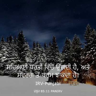Picture 03 - ਜ਼ਬੂਰ 85:11 PANIRV - ਸਚਿਆਈ ਧਰਤੀ ਵਿੱਚੋਂ - Bible Verse Picture