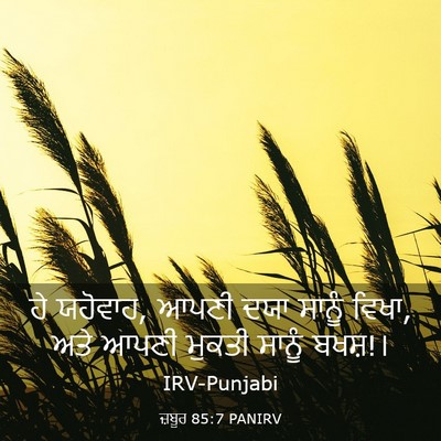 Picture 03 - ਜ਼ਬੂਰ 85:7 PANIRV - ਹੇ ਯਹੋਵਾਹ, ਆਪਣੀ ਦਯਾ - Bible Verse Picture