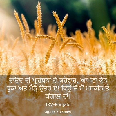 Picture 03 - ਜ਼ਬੂਰ 86:1 PANIRV - ਦਾਊਦ ਦੀ ਪ੍ਰਾਰਥਨਾ - Bible Verse Picture