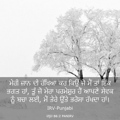 Picture 03 - ਜ਼ਬੂਰ 86:2 PANIRV - ਮੇਰੀ ਜਾਨ ਦੀ ਰੱਖਿਆ - Bible Verse Picture