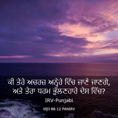 Picture 03 - ਜ਼ਬੂਰ 88:12 PANIRV - ਕੀ ਤੇਰੇ ਅਚਰਜ਼ - Bible Verse Picture