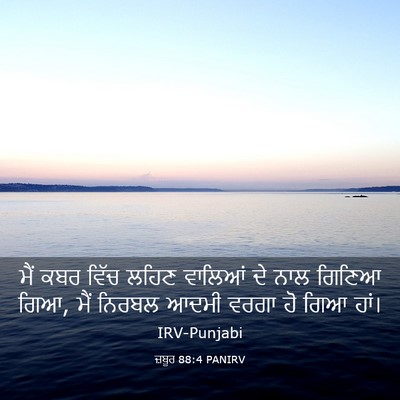 Picture 03 - ਜ਼ਬੂਰ 88:4 PANIRV - ਮੈਂ ਕਬਰ ਵਿੱਚ ਲਹਿਣ - Bible Verse Picture