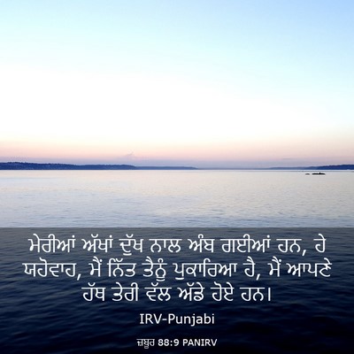 Picture 03 - ਜ਼ਬੂਰ 88:9 PANIRV - ਮੇਰੀਆਂ ਅੱਖਾਂ ਦੁੱਖ - Bible Verse Picture