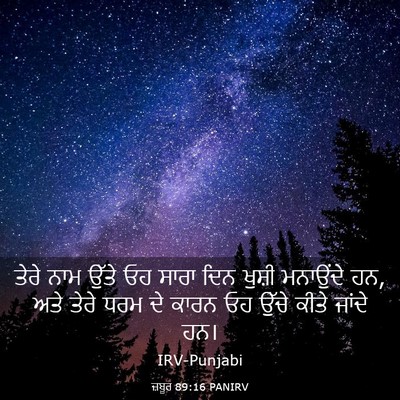 Picture 03 - ਜ਼ਬੂਰ 89:16 PANIRV - ਤੇਰੇ ਨਾਮ ਉੱਤੇ ਓਹ - Bible Verse Picture